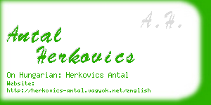 antal herkovics business card